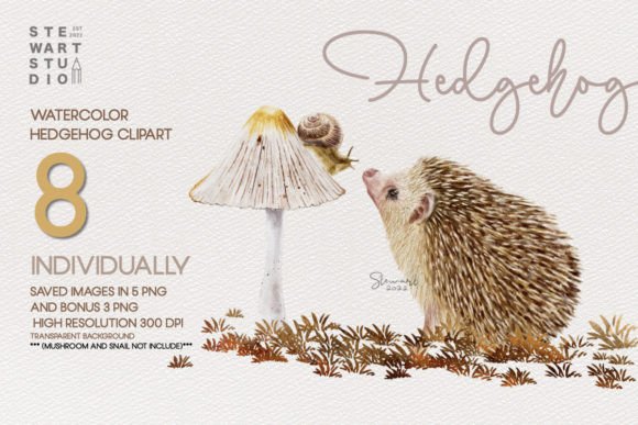 Download Watercolor Hedgehog Clipart - Hedgehog Collection