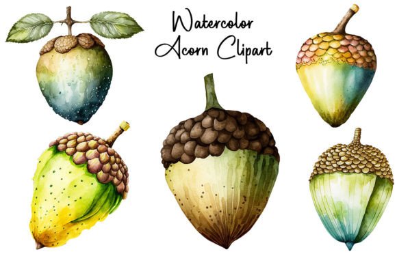 Download Watercolor Acorn Clipart - Acorn Collection