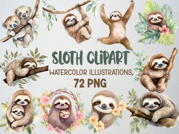 Download Sloth Clipart, Tropical Elements, 72 PNG - Premium Resources
