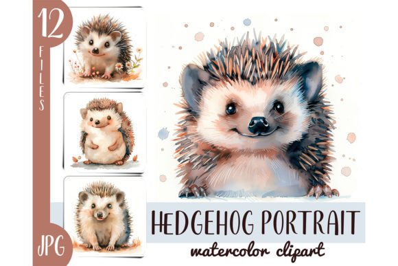 Download Watercolor Cute Hedgehog Clipart JPG - Hedgehog Collection